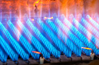 Bradley gas fired boilers